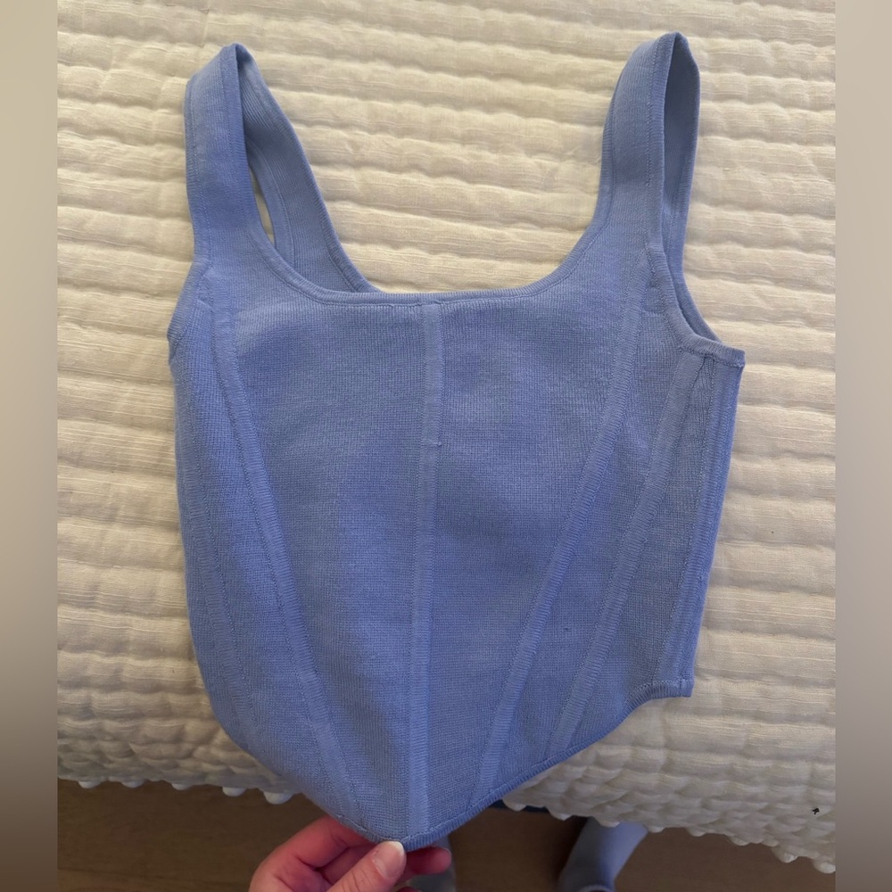Aritzia Blue Crop Top